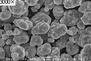LiCoO2 Powder for Li-ion Battery Cathode, 200g/bag - Lib-LCO