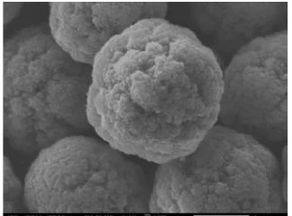 Manganese-rich Li1.14Mn0.57Ni0.14Co0.14O2 Powder for Li-Ion Battery Cathode, 50g/bottle - Lib-LNCM114-P